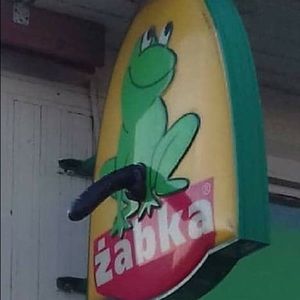 Meet your Posher, Kyler